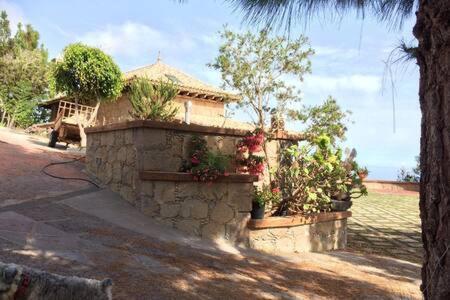 Villa Rural Faldas Del Teide Icod De Los Vinos Eksteriør bilde