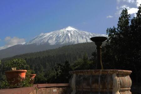 Villa Rural Faldas Del Teide Icod De Los Vinos Eksteriør bilde
