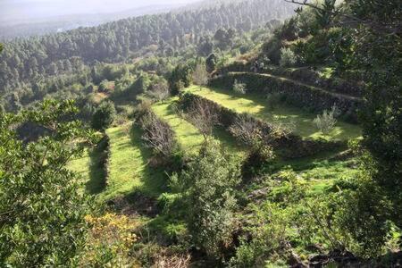Villa Rural Faldas Del Teide Icod De Los Vinos Eksteriør bilde