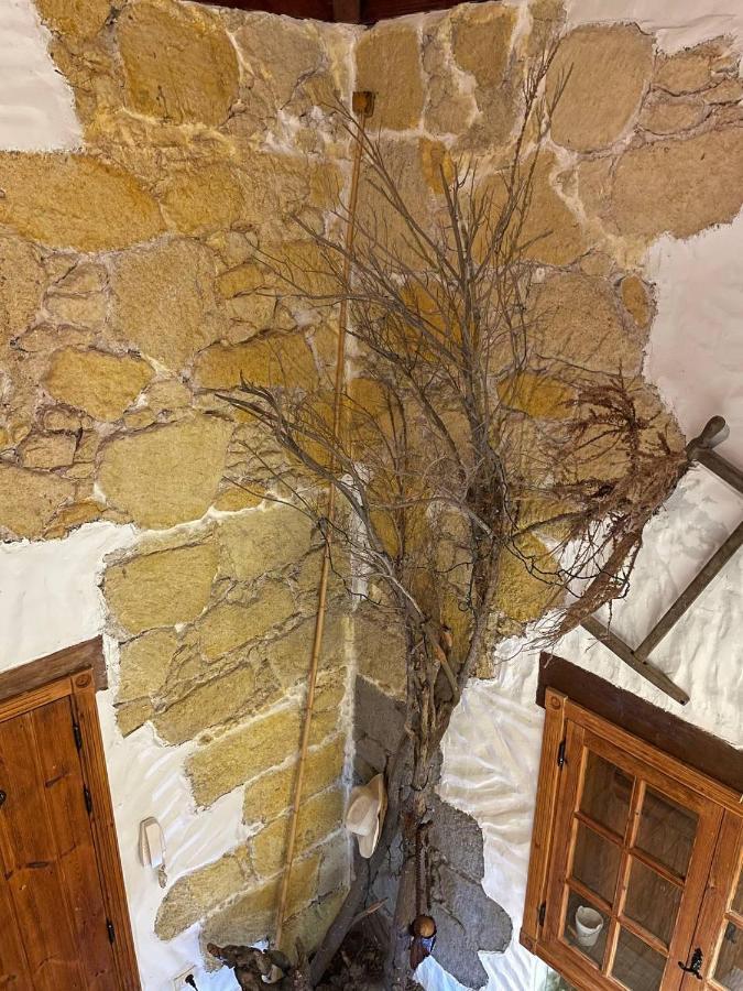 Villa Rural Faldas Del Teide Icod De Los Vinos Eksteriør bilde